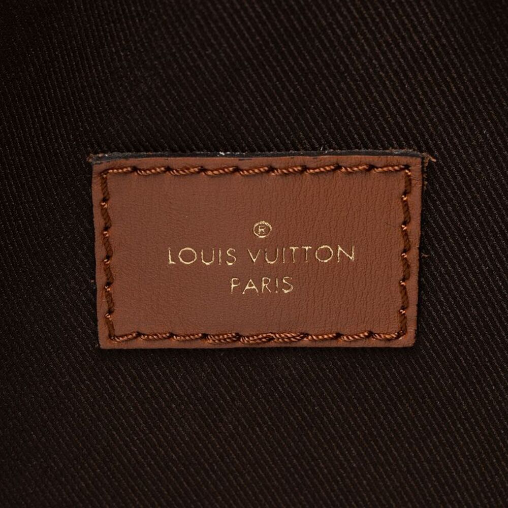 Louis Vuitton Monogram Canvas Loop Hobo - Picture 7 of 8